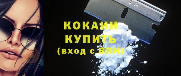 ECSTASY Ельня