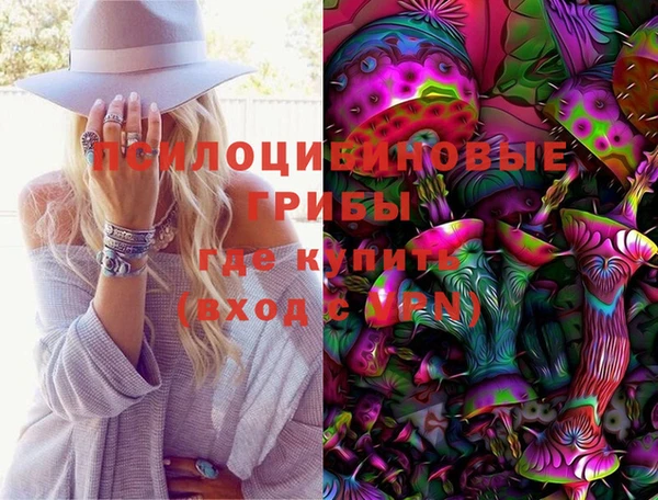 ECSTASY Ельня