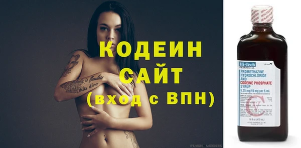 ECSTASY Ельня
