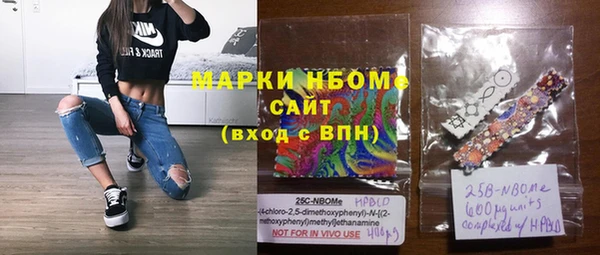 ECSTASY Ельня