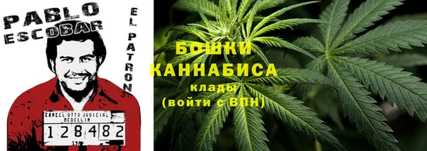 PSILOCYBIN Елизово