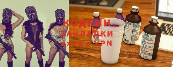 ПСИЛОЦИБИНОВЫЕ ГРИБЫ Заволжье