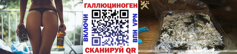 Купить где  Клин  Псилоцибиновые грибы Magic Shrooms 